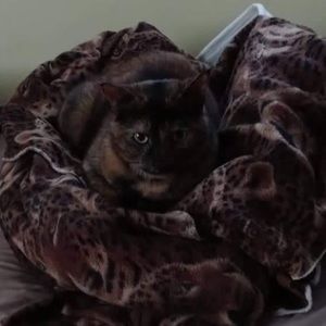 Meet your Posher, Anneta